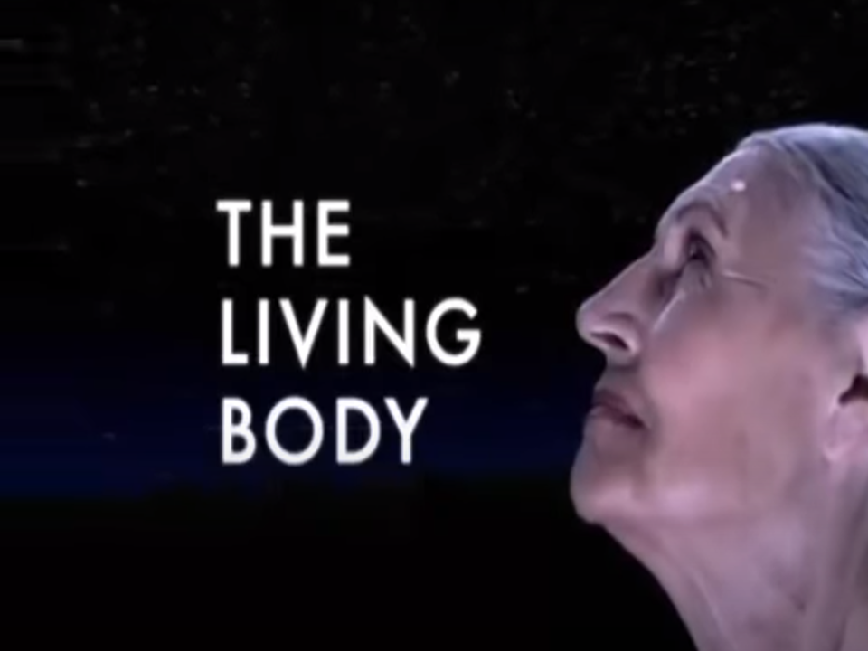 Documental: Viaje al interior del cuerpo humano – Proyecto Simbiosis