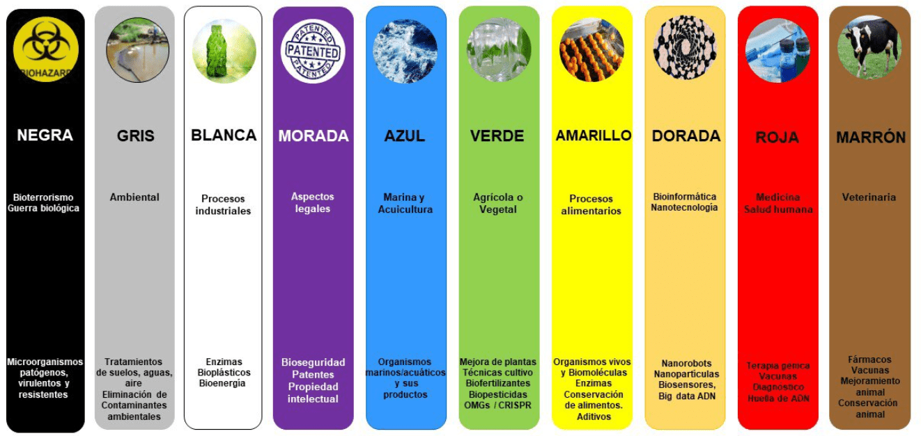 Coloreando la Biotecnología – Proyecto Simbiosis